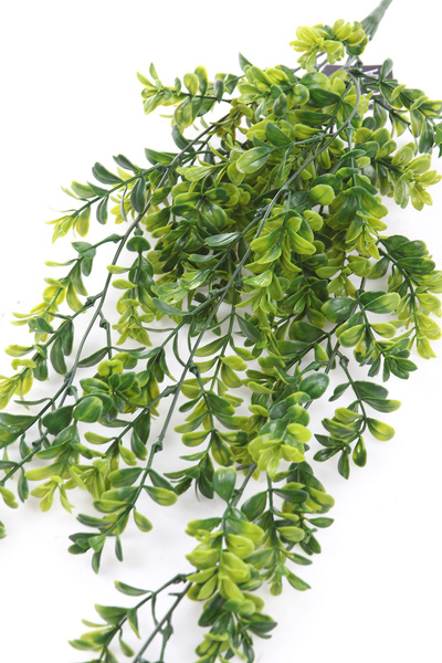 Sztuczny Bukszpan wiszący pnącze 80 cm