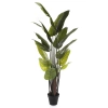 Sztuczna wysoka Strelitzia 200 cm 18 liści