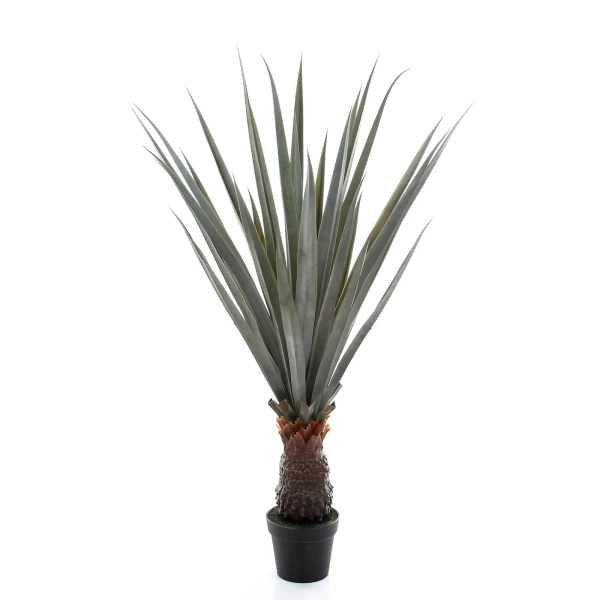 Sztuczna Agawa angustifolia 140 cm UV