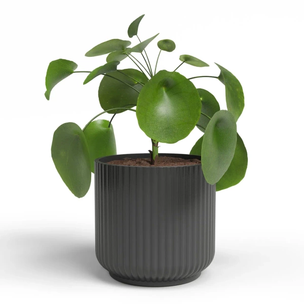 Luna 13/12 ceramiczna osłonka antracytowa ryflowana