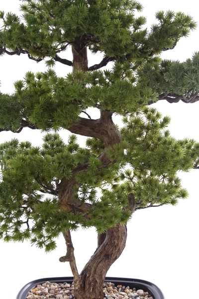 Sztuczny Bonsai Pinia Sosna 68 cm w czarnej doniczce