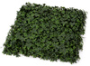 Sztuczna zielona ściana Hedera Bluszcz mata 50x50 UV wodoodporna