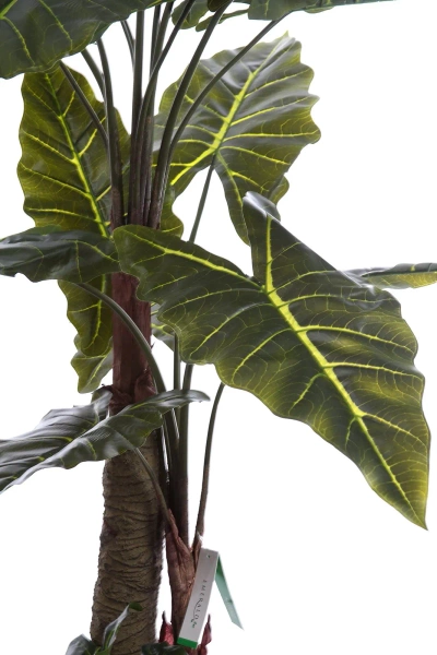 Sztuczna Alokazja drzewko 180 cm 22 liście gruby pień