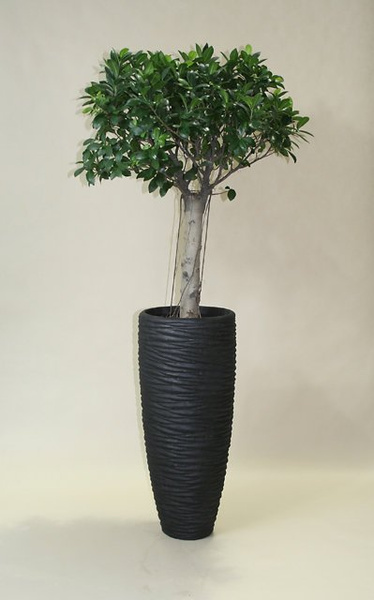 POLYSTONE Ryflowana 37/90 wysoka donica naturalna czarna