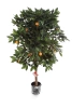 Sztuczne drzewko Mandarynkowe 140 cm cytrusy