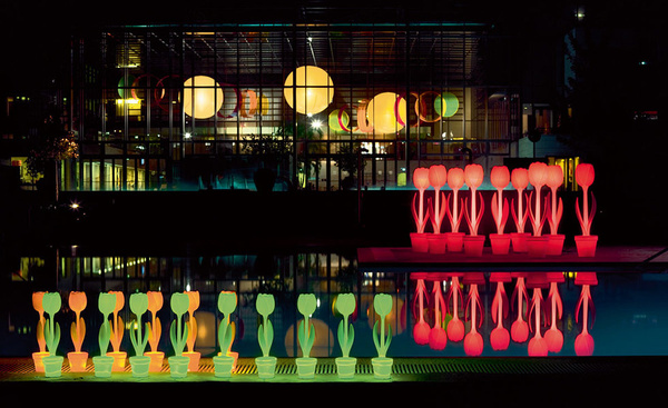 Tulipan XL 151 cm pomarańczowy