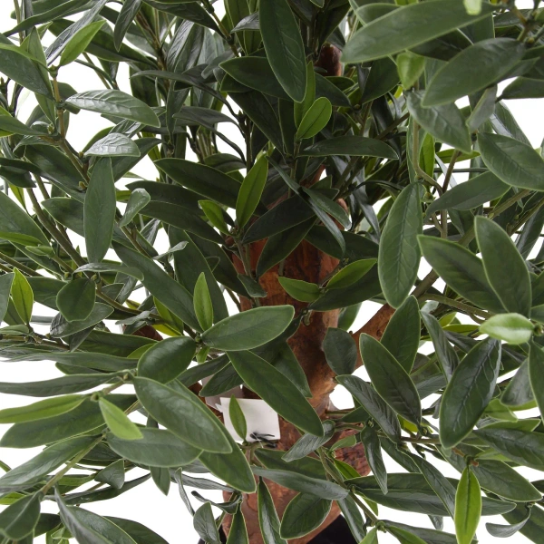 Sztuczna Oliwka 90 cm deluxe UV