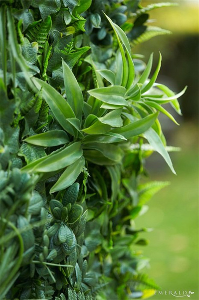 Mata zielona ściana Forest 100x100 cm mix z roślin leśnych