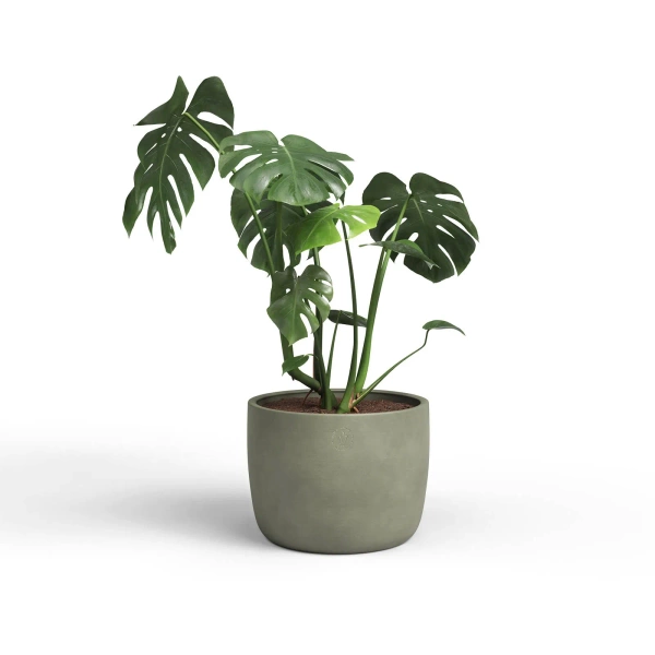 Urania 30/28 osłonka ceramiczna oliwkowy zielony