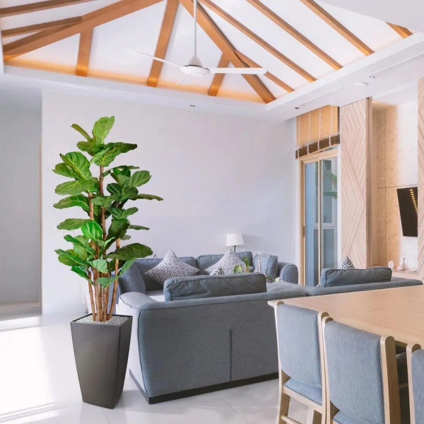 Sztuczny Fikus Lyrata 165 cm duże liście deluxe