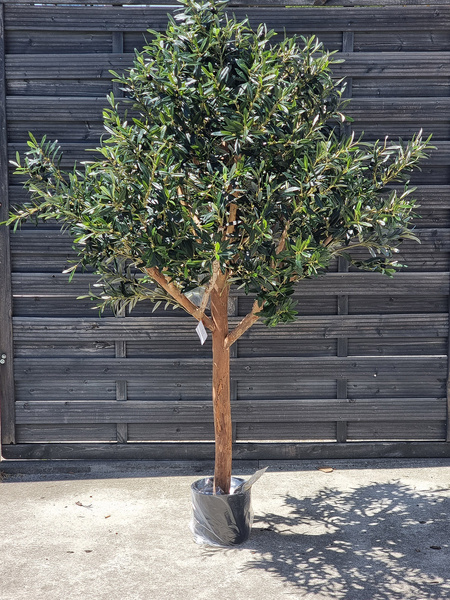 Duża sztuczna Oliwka 180 cm z owocami