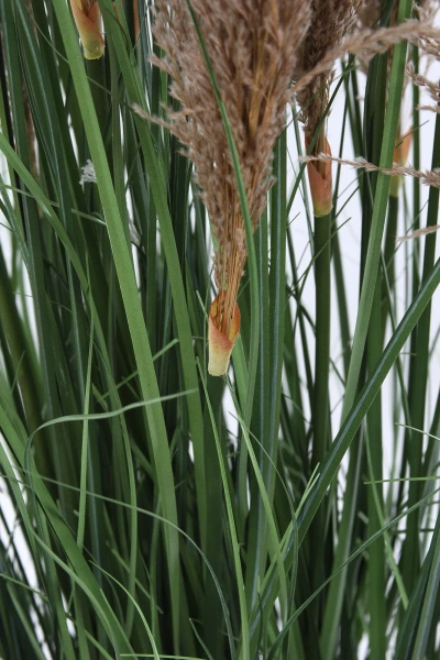 Sztuczna Trawa trzcinowa z kłosami 165 cm