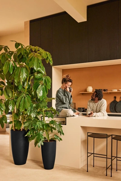 June Round High 30/53 czarna wysoka donica do salonu