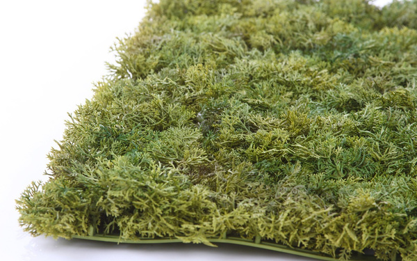 Sztuczna zielona ściana mata mech Islandzki 50x50 trudnopalna FR UV