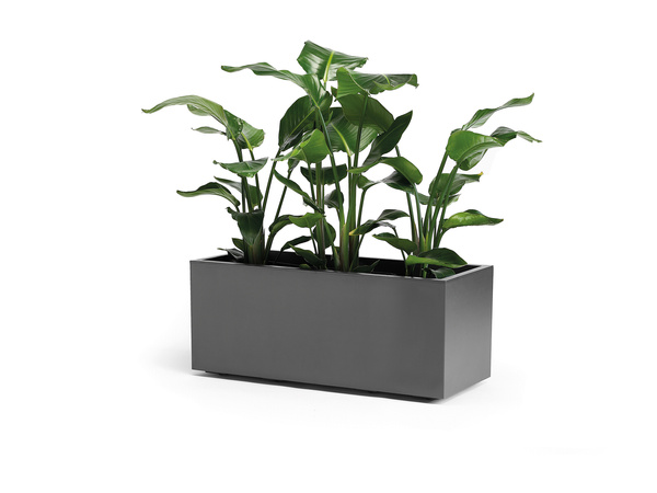 Kebe Casetta 100x40/40 donica prostokątna na kółkach antracytowa