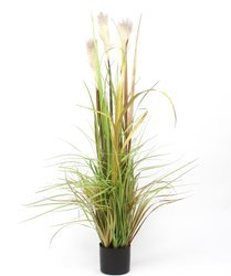Sztuczna trawa Foxtail Plume 120 cm z kłosami