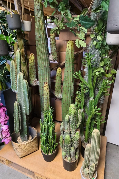 Sztuczny Kaktus Cereus 115 cm rozgałęziony