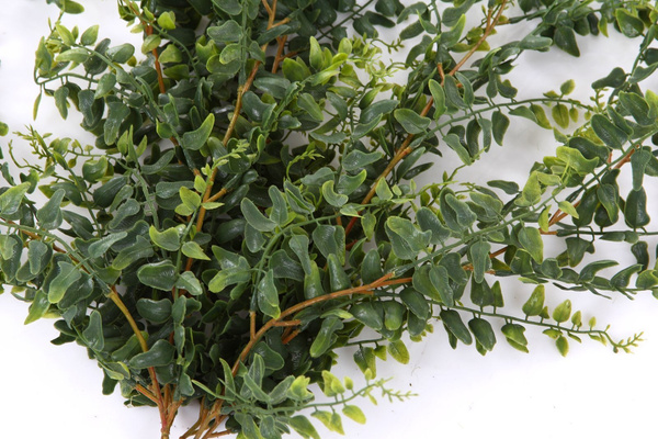 Sztuczna Paproć zwisająca pnącze 75 cm