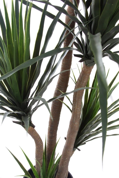 Sztuczna Dracena 160-170 cm