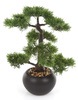 Sztuczne drzewko Bonsai Cedr 48 cm w czarnej doniczce