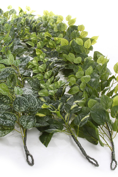 Sztuczne Epipremnum Pothos girlanda gęste pnącze 180 cm