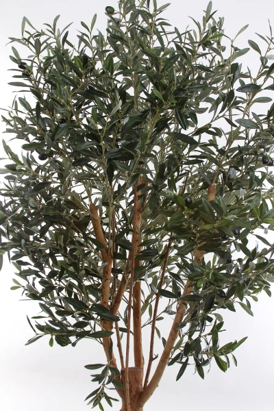 Sztuczna Oliwka 180 cm deluxe
