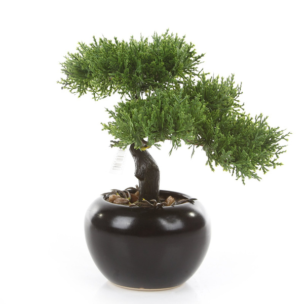 Sztuczne drzewko Bonsai Cedr 25 w czarnej doniczce