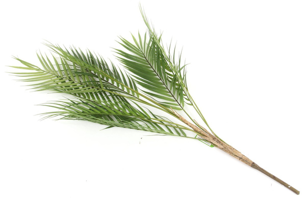 Sztuczna palma gałązka Chamedora wytworna Chamaedorea 85 cm