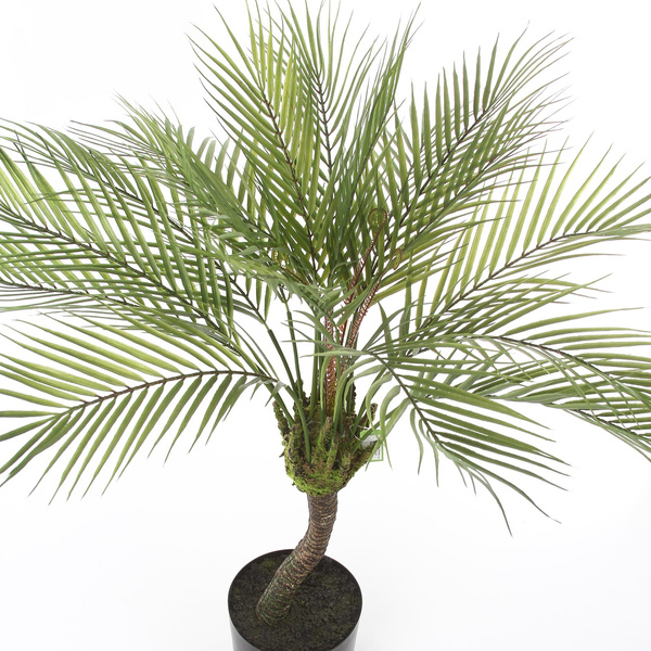 Sztuczna palma Chamedora na pniu 85 cm jak żywa