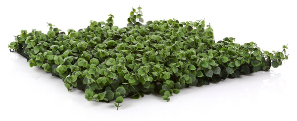 Sztuczny ogród wertykalny Eukaliptus 50x50 UV wodoodporny