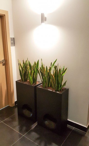 VASO MODO 50x26/75 donica designerska prostokątna grafitowa