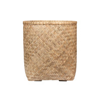 bamboo