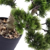 Sztuczne drzewko Bonsai Pinia Sosna 40x40 cm