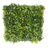 Sztuczna zielona ściana bukszpan oxalis 50x50