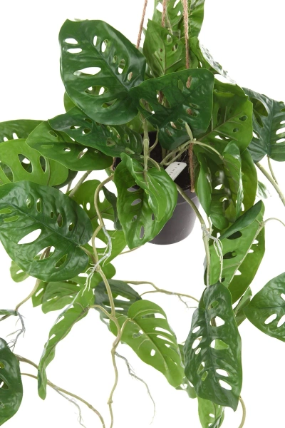 Sztuczna Monstera Monkey wisząca 80 cm w doniczce