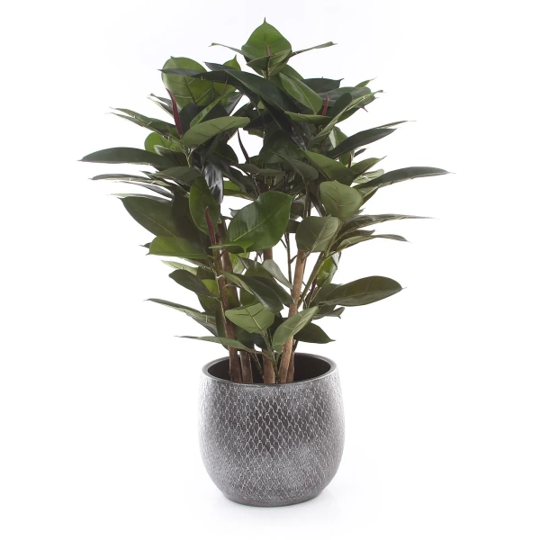 Madeira Vase 30/50 waza ceramiczna srebrna