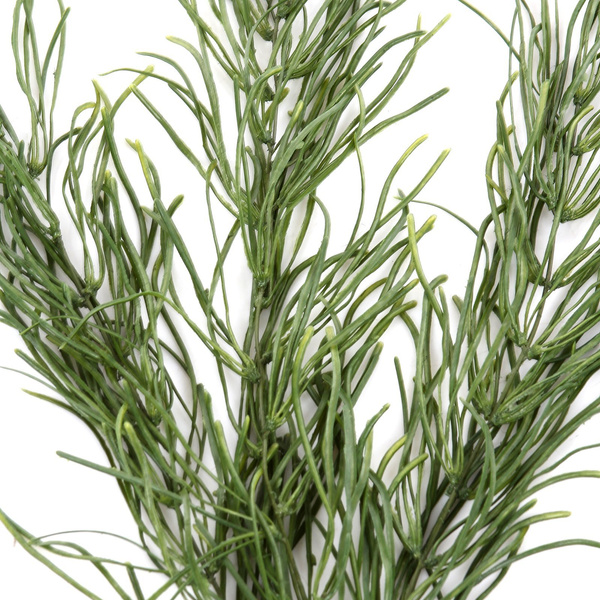 Sztuczny Ripsalis Vine wiszący pnącze 80 cm x3