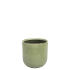 ś.16 w.16 \ jasnozielony / ash green