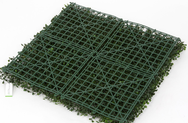 Sztuczna zielona ściana panel Bukszpan 50x50 UV wodoodporna