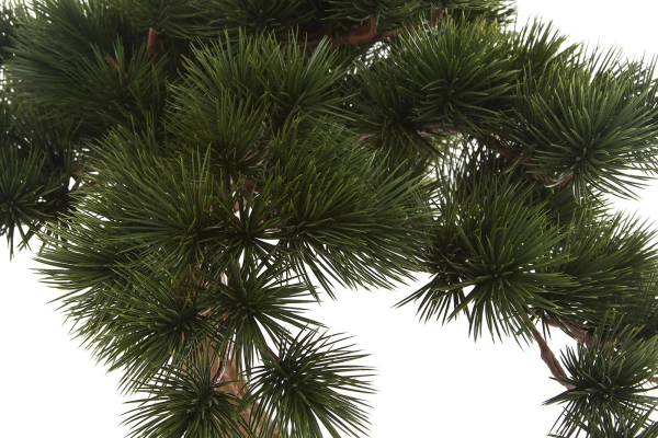 Sztuczny Bonsai Pinia Sosna Parviflora 55 cm w czarnej ceramicznej doniczce