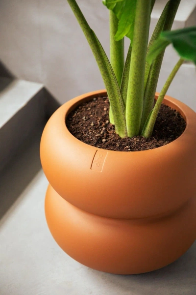 Amber Roll Low 43/40 designerska donica karmelowa