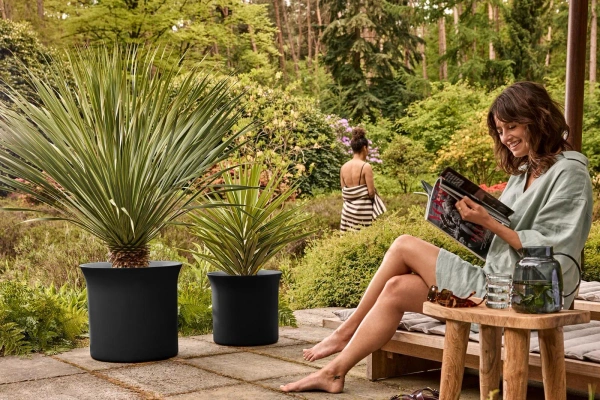 June Tulip 40 czarna osłonka do salonu