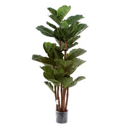 Sztuczny Fikus Lyrata 165 cm duże liście deluxe