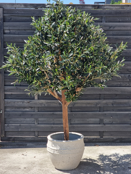 Duża sztuczna Oliwka 180 cm z owocami