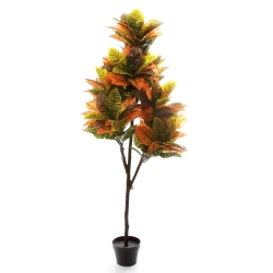Sztuczny Kroton Codiaeum L 150 cm