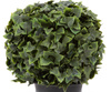 Sztuczny Bluszcz Hedera kula w doniczce 30 cm
