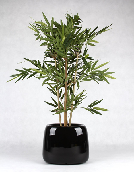 ORGANIC SQUARE 42x38/32 nowoczesna donica lakierowana czarna na kółkach