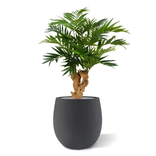 Sztuczna Palma Chamedora na drewnianym pniu 65 cm