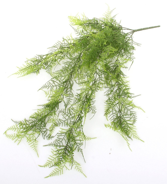 Sztuczny Asparagus pierzasty pnącze 80 cm