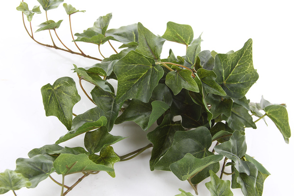 Sztuczny Bluszcz English Hedera wiszący pnącze 45 cm zielony